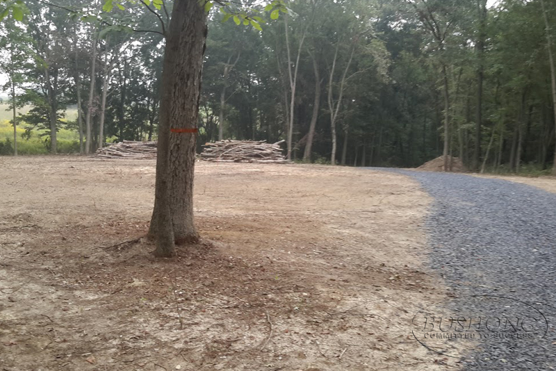 LAND CLEARING Bushong Contracting Woodstock Winchester VA 22664 22601