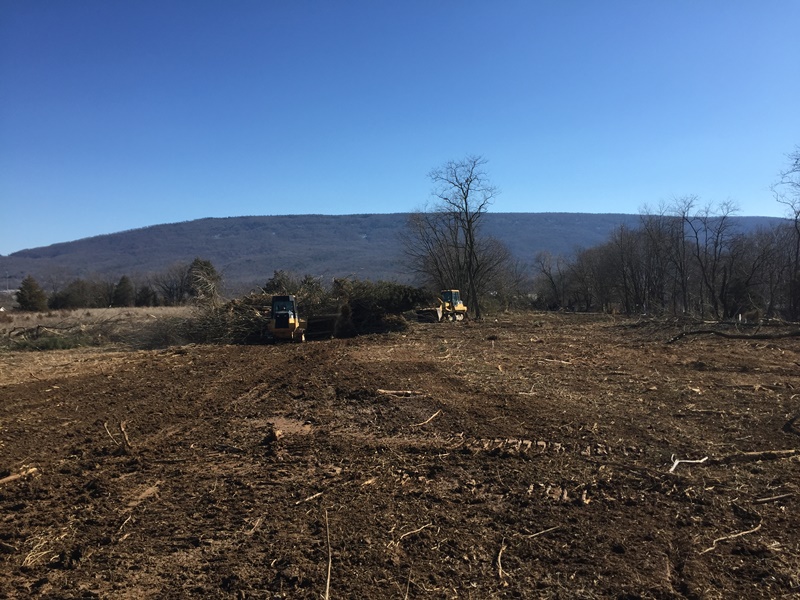 LAND CLEARING Bushong Contracting Woodstock Winchester VA 22664 22601