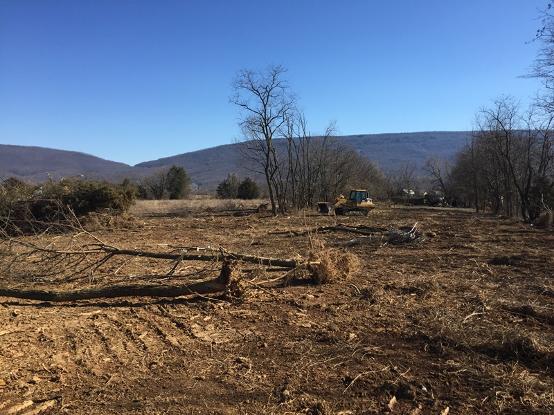 LAND CLEARING Bushong Contracting Woodstock Winchester VA 22664 22601