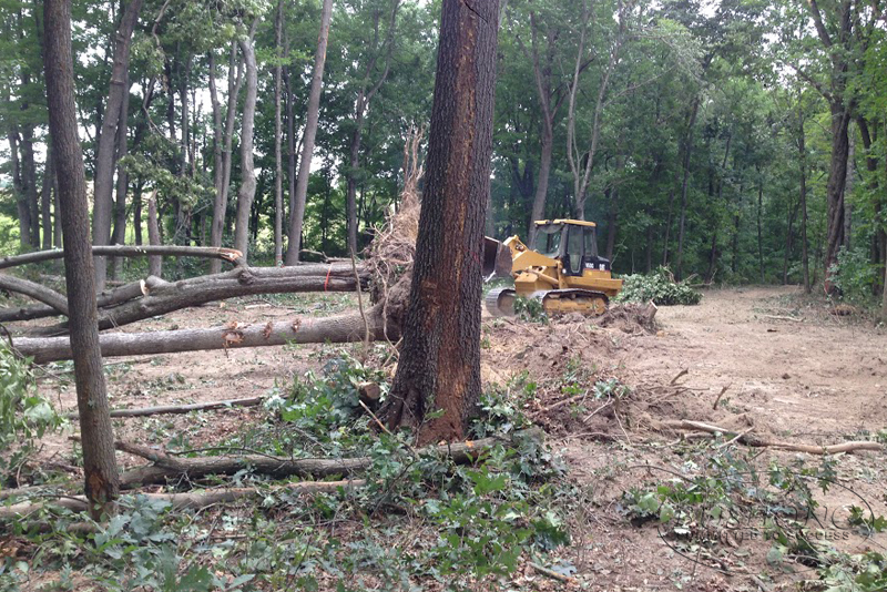 LAND CLEARING Bushong Contracting Woodstock Winchester VA 22664 22601
