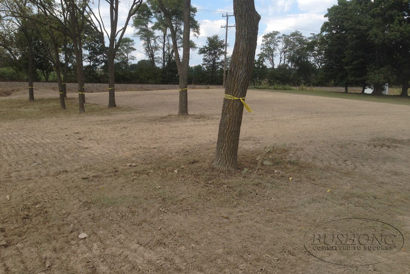 LAND CLEARING Bushong Contracting Woodstock Winchester VA 22664 22601