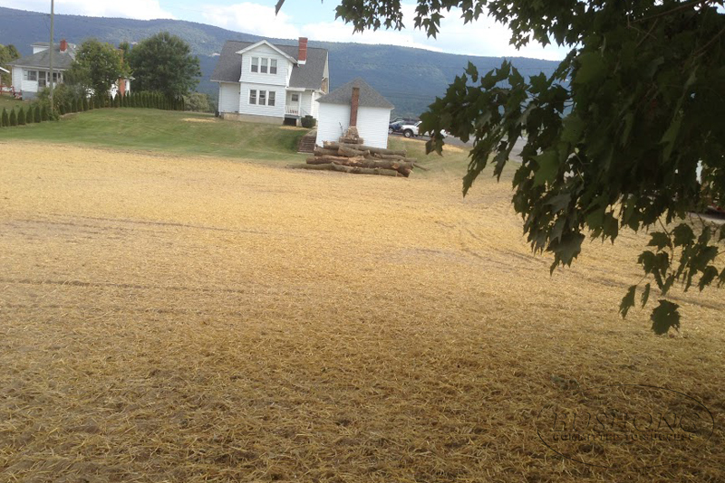 LAND CLEARING Bushong Contracting Woodstock Winchester VA 22664 22601