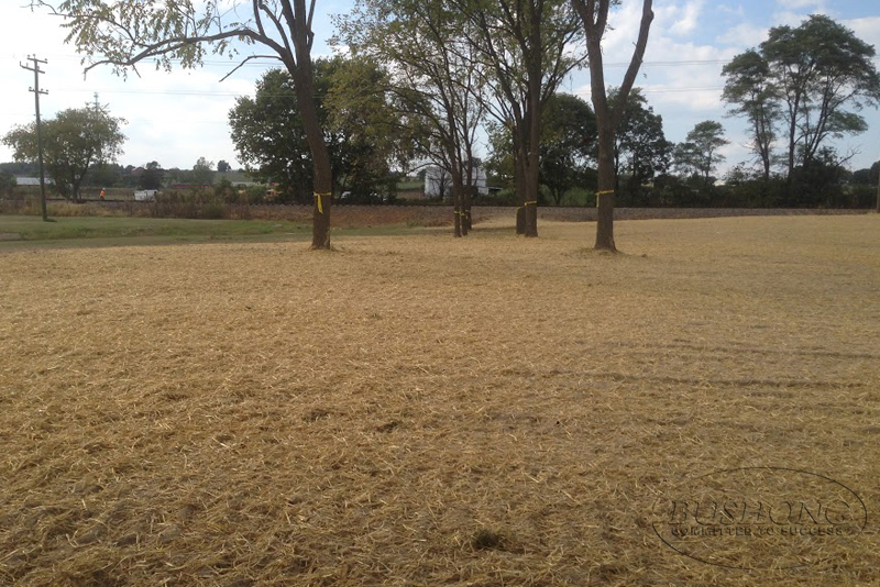 LAND CLEARING Bushong Contracting Woodstock Winchester VA 22664 22601